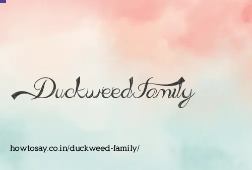 Duckweed Family