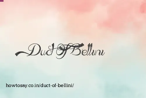 Duct Of Bellini