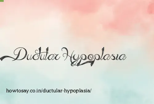 Ductular Hypoplasia