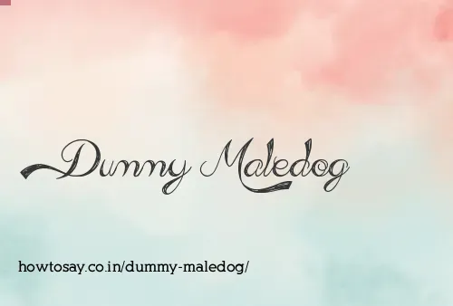 Dummy Maledog