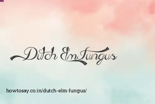Dutch Elm Fungus