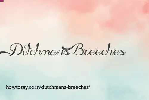 Dutchmans Breeches