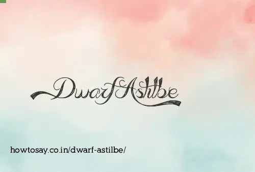 Dwarf Astilbe