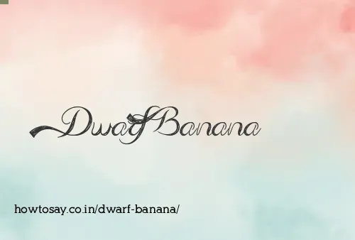 Dwarf Banana