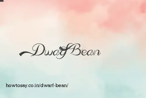 Dwarf Bean
