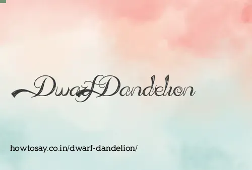 Dwarf Dandelion