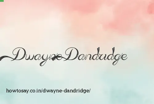 Dwayne Dandridge