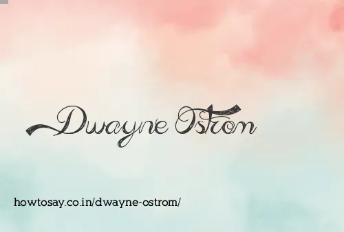 Dwayne Ostrom