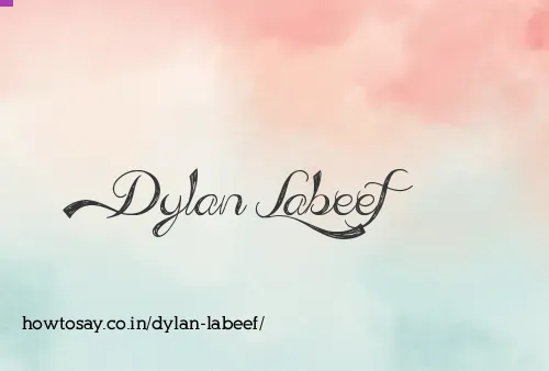Dylan Labeef