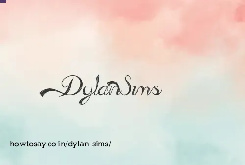 Dylan Sims