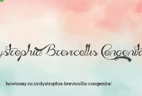 Dystrophia Brevicollis Congenita