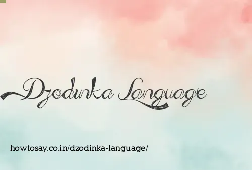 Dzodinka Language