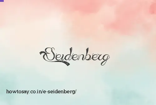E Seidenberg