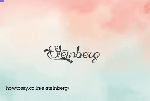 E Steinberg