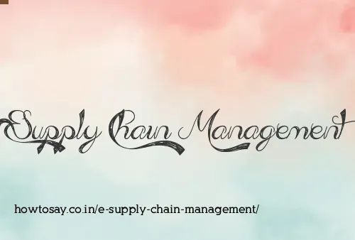 E Supply Chain Management