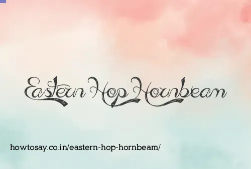Eastern Hop Hornbeam