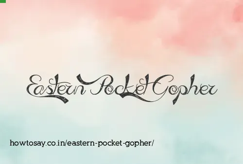 Eastern Pocket Gopher