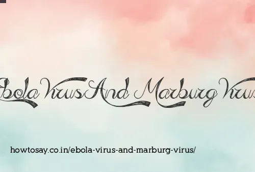 Ebola Virus And Marburg Virus