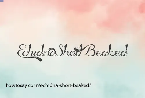 Echidna Short Beaked
