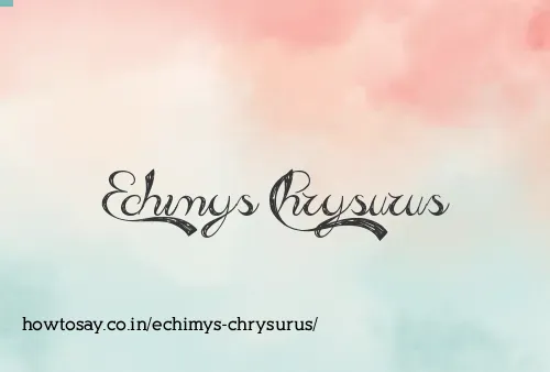 Echimys Chrysurus