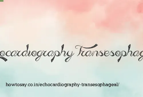 Echocardiography Transesophageal