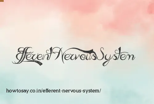 Efferent Nervous System
