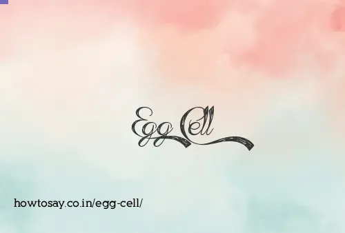 Egg Cell