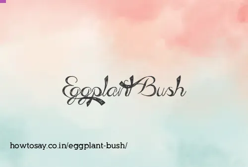 Eggplant Bush