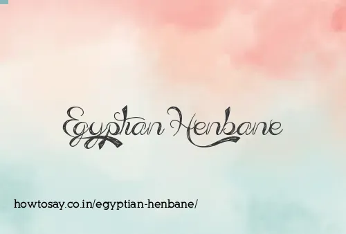 Egyptian Henbane