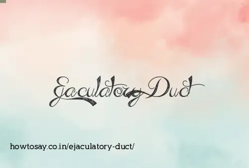 Ejaculatory Duct