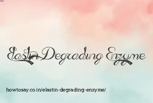 Elastin Degrading Enzyme