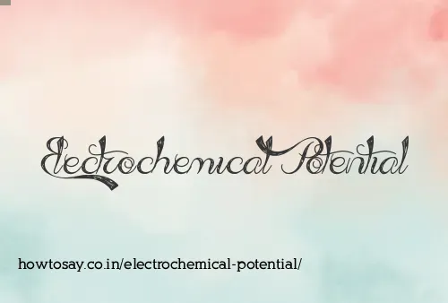 Electrochemical Potential