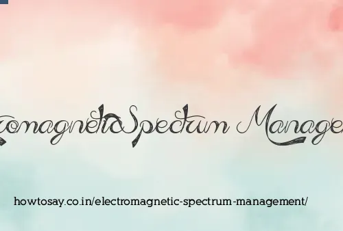 Electromagnetic Spectrum Management
