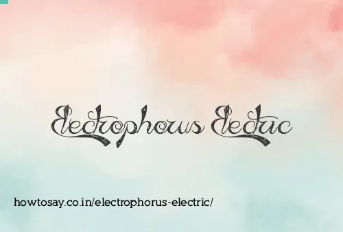 Electrophorus Electric