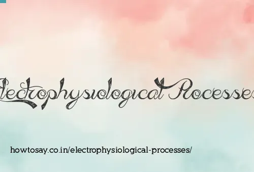 Electrophysiological Processes