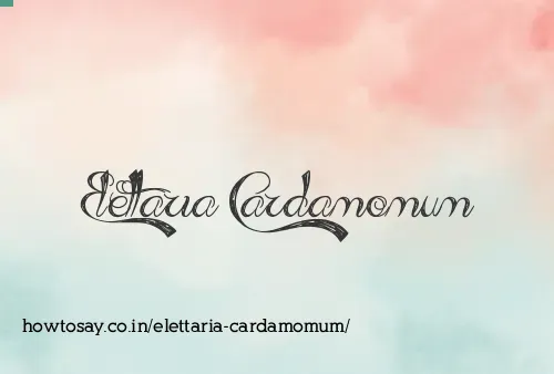 Elettaria Cardamomum