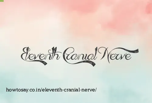 Eleventh Cranial Nerve