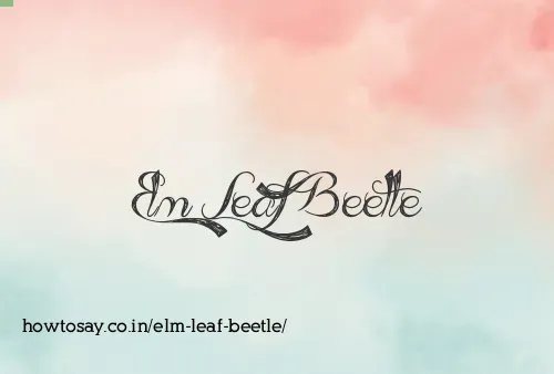 Elm Leaf Beetle