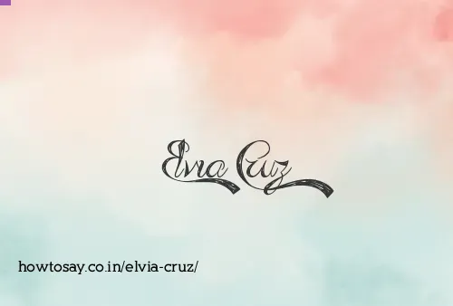 Elvia Cruz