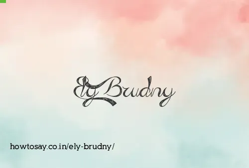 Ely Brudny