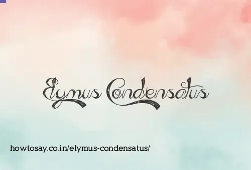 Elymus Condensatus