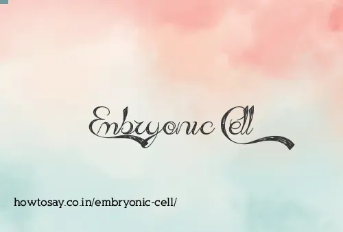 Embryonic Cell