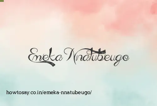Emeka Nnatubeugo