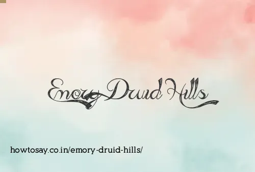 Emory Druid Hills