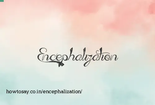 Encephalization