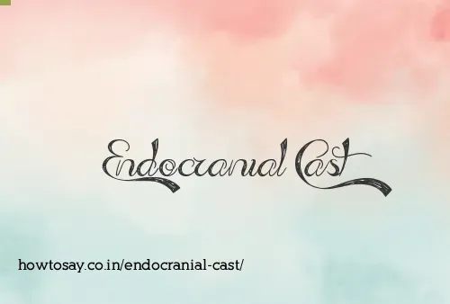 Endocranial Cast