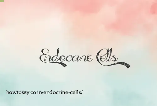 Endocrine Cells