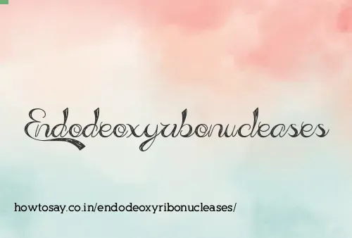 Endodeoxyribonucleases