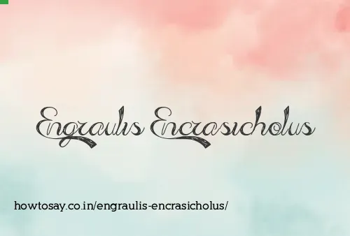 Engraulis Encrasicholus