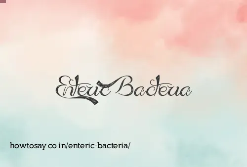 Enteric Bacteria